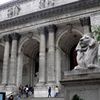 NYPL Gets Lit Up